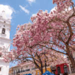 Casco Viejo