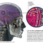 Reduced graphene oxide and effects on the central nervous system