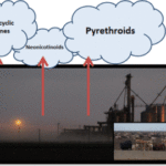 Chemical clouds from evaporation/volatilization/levitation of graphene-containing solutions and their ionization