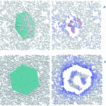 Graphene Oxide, Neuroinflammation and Neurodegenerative Diseases