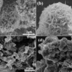 Graphene Oxide and 2G, 3G, 4G and 5G Electromagnetic Waves