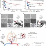 Graphene oxide in blood causes anaphylactic death in primates