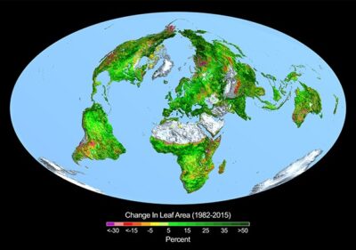 crop change in leaf area e1736618215616