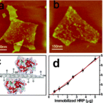 Lactose-free dairy products and graphene oxide. Possible Cause of Lactose Intolerance ?